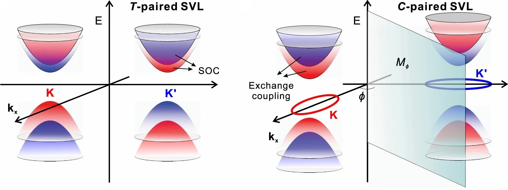 圖 2 (a) T-paired SVL 和 (b) C-paired SVL 的自旋劈裂能帶。