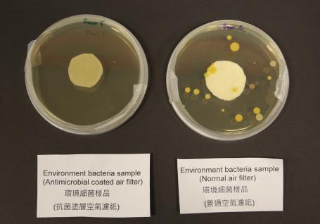  使用科大抗菌涂层空气滤纸(左)的环境细菌样本，与使用普通空气滤纸(右)样本的比较。
